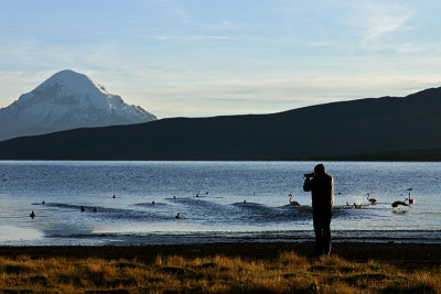 Photographer scaring wildlife