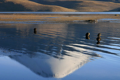 Lago Chungar� + Parinacota Reflection