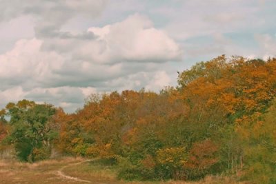 Fall Color 2006.jpg