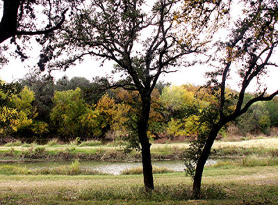 Fall Along Salado Creek 6.jpg