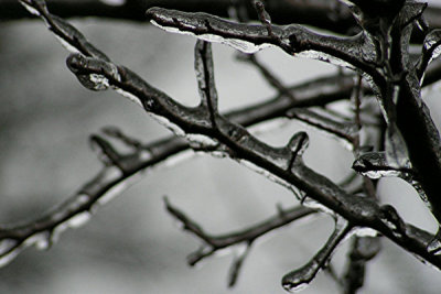 1-2007 Ice Storm 20.jpg