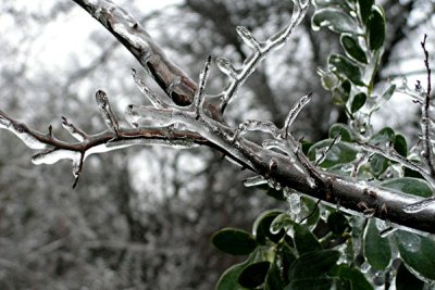 1-2007 Ice Storm 24.jpg