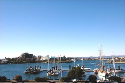 Victoria Harbor 2.jpg
