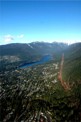 Urban Sprawl into the Forest