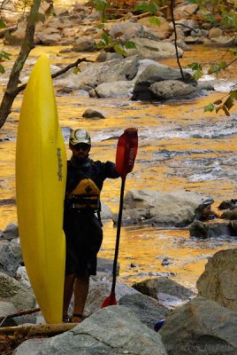 Tellico