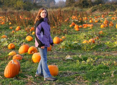 so many pumpkins...