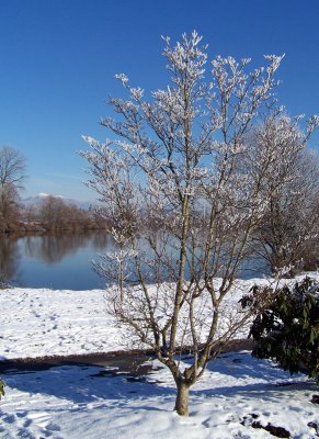 Lowell Riverside Park 2007