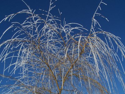 winter fireworks