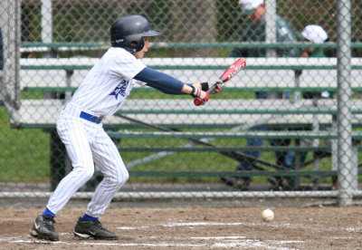 laying down the bunt