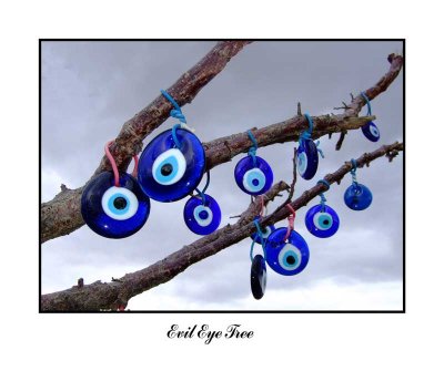 Evil eye tree