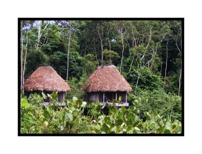 Kapawi Lodge, Amazon