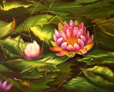 EVERGLADES LILIES 24' X 30 OIL ON CANVAS