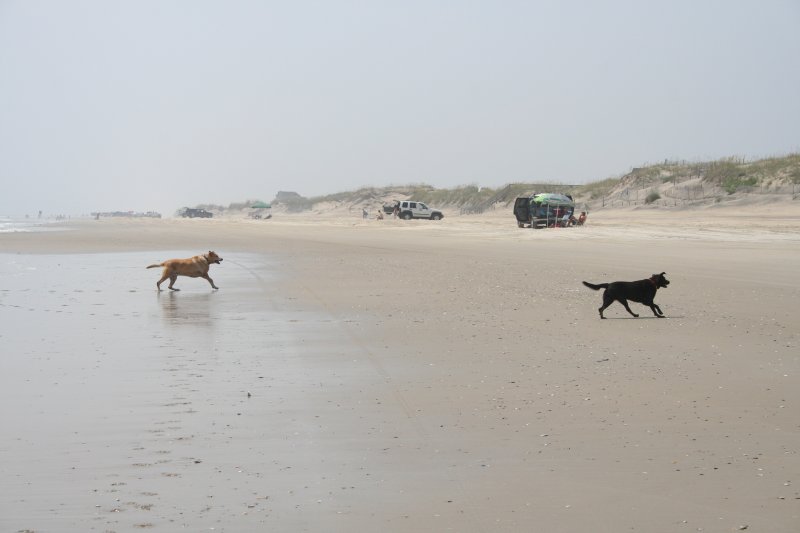 beach at corova