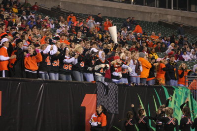 anderson crowd in the jungle