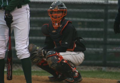  nick behind the plate