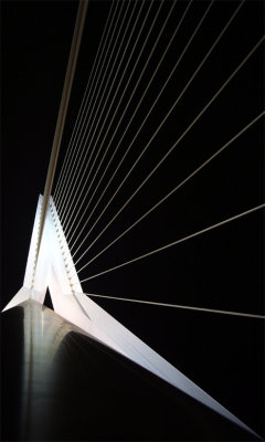 Erasmus bridge