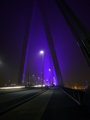 Rotterdam in fog