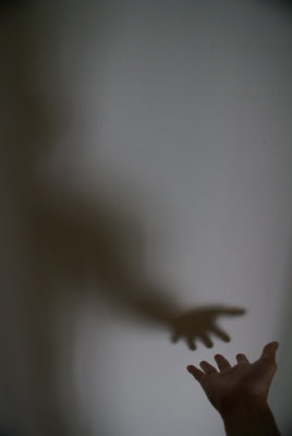 Contact