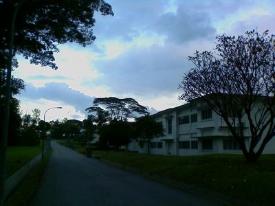 Bermuda Road