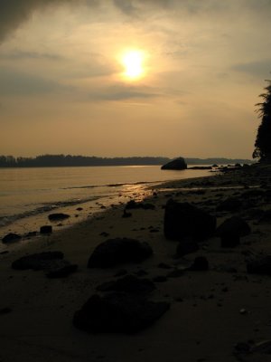 Dusk at Ubin