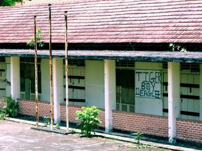 Who is Tiger Boy?