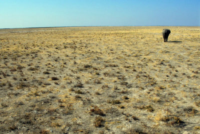 Lonelyness
