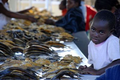 Fish Market