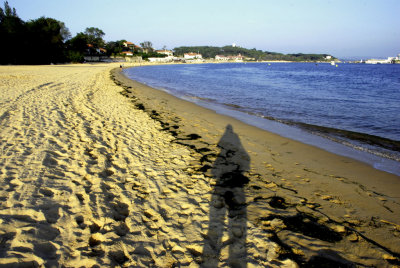 Shadow SP
