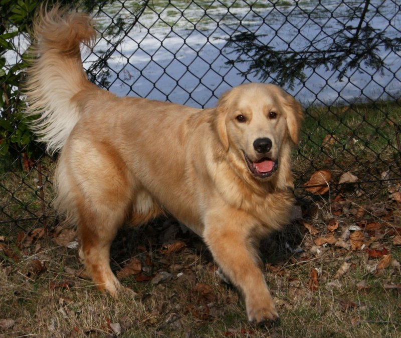 happy cody crop2.jpg