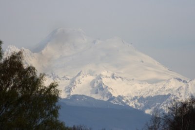 3-26-07 Mt Baker from Wylie 4371 r.jpg