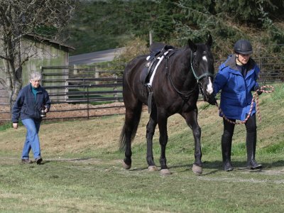 3-29-07 on the way to a dressage lesson 4507  r.jpg