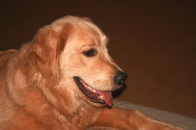 Cody 0156r.jpg