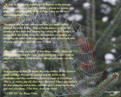 spiderweb with Mary Oliver poetry 3r.jpg