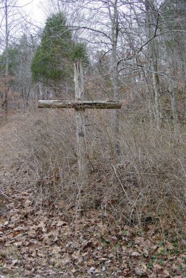 Cross in the woods