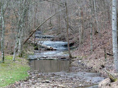 Talleys Branch Creek