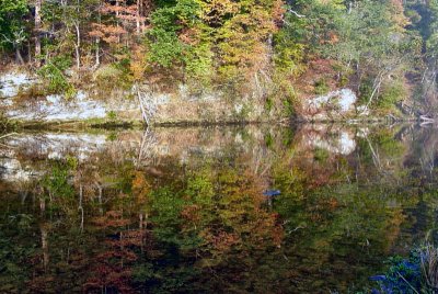 Fall Reflection on the Watauga River