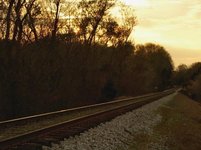 Railroad Tracks at Dusk