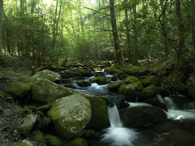 Elkmont Stream #3