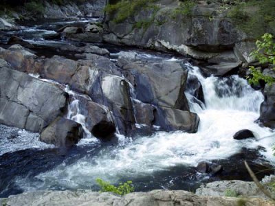 The Sinks 4