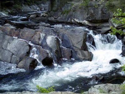 The Sinks 6