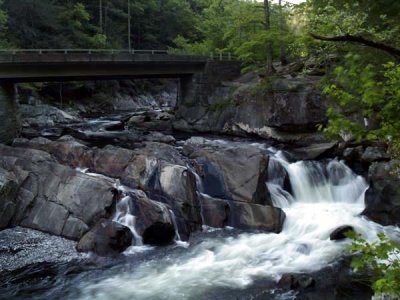 The Sinks 13