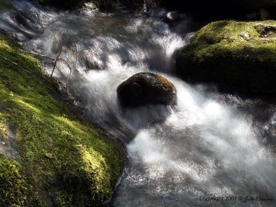 Tremont West Prong of The Little River