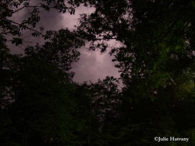 Evening Storm Approaches