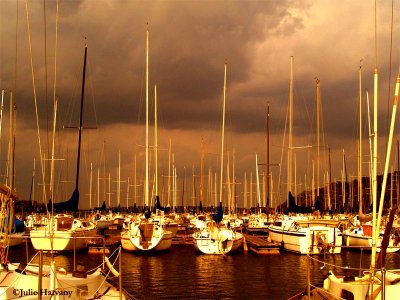 Sailboats on Percy Priest Lake