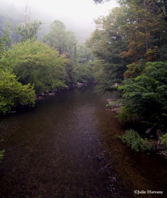The Little River from a Swinging Bridge