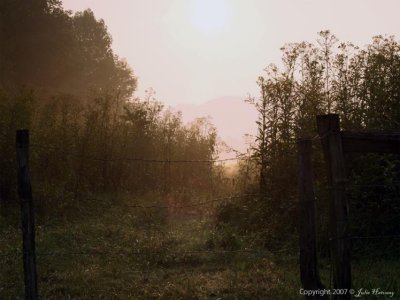 Sunrise in The Smoky Mountains 4