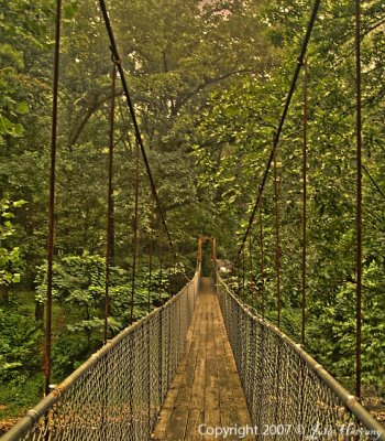 Swinging Bridge in Walland TN