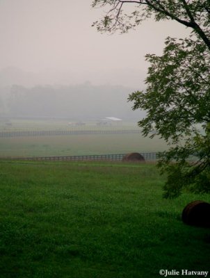 Morning Fog and Field