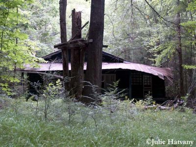 Elkmont Ghost Town