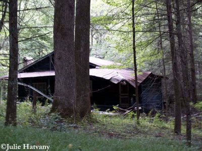 Elkmont03